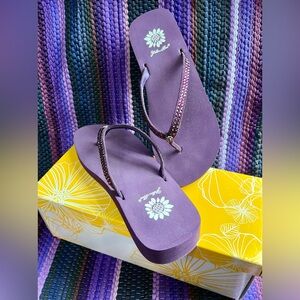 Yellow box Aubergine Sandals (Sz 7 1/2)